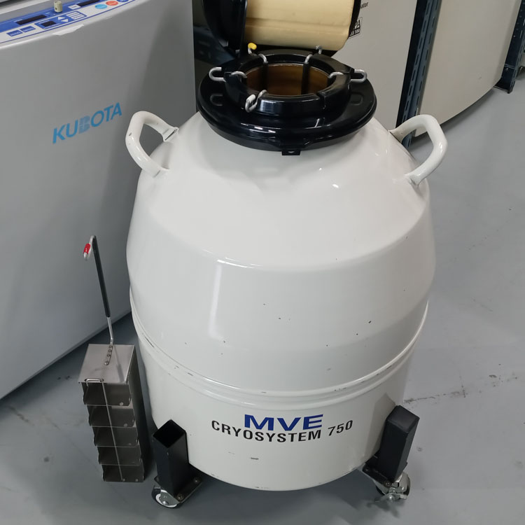 MVE cryosystem 750